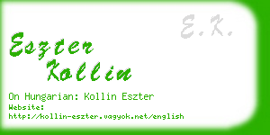 eszter kollin business card